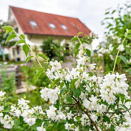 Beutenmuehle Straussenfarm Dach Owingen 외부 사진