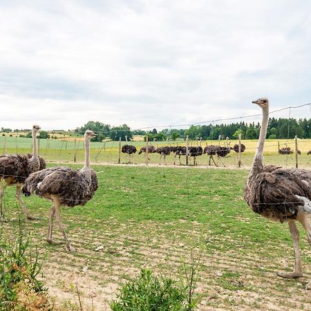Beutenmuehle Straussenfarm Dach Owingen 외부 사진