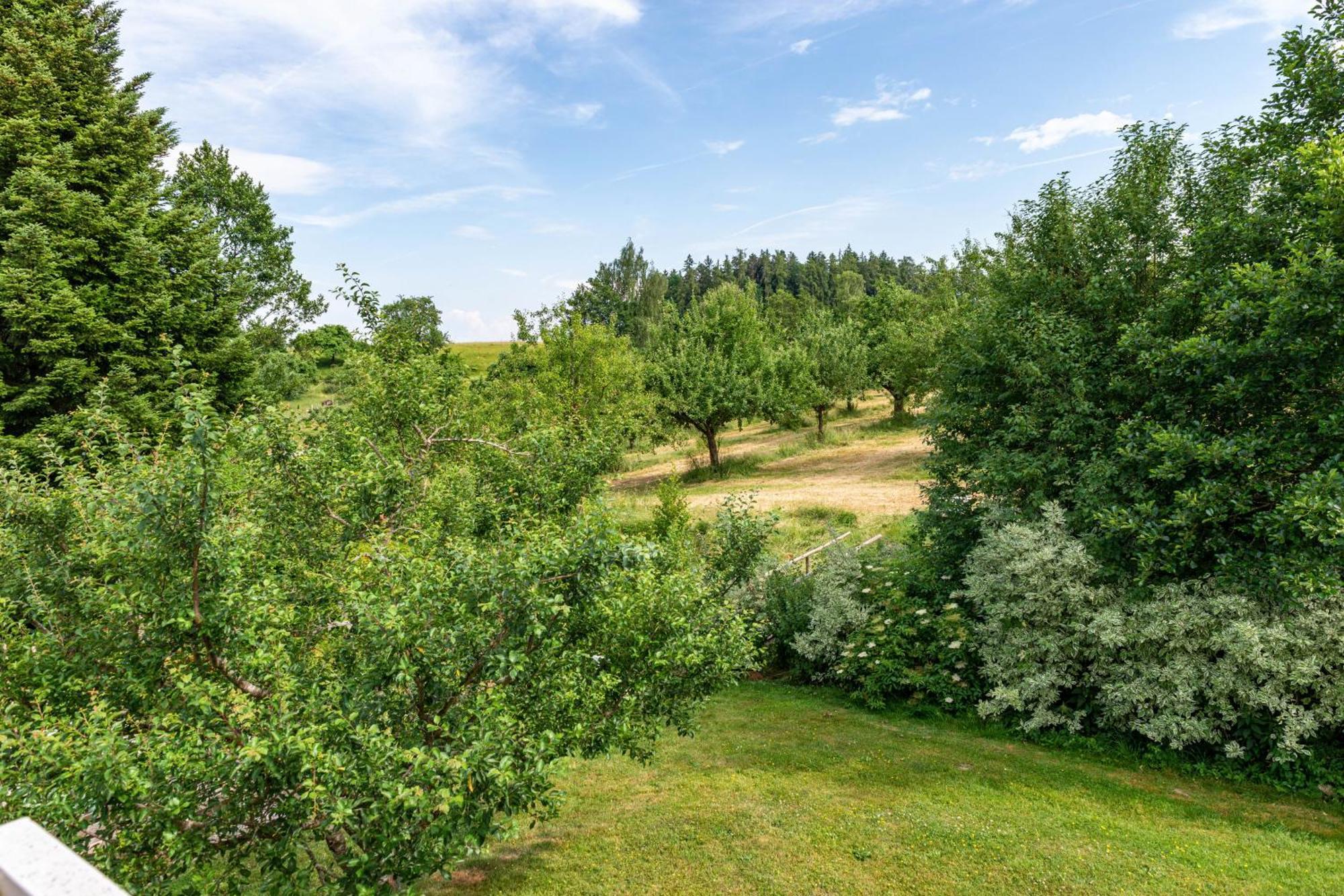 Beutenmuehle Straussenfarm Dach Owingen 외부 사진
